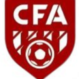 灵武市第二中学女足U14队标,灵武市第二中学女足U14图片